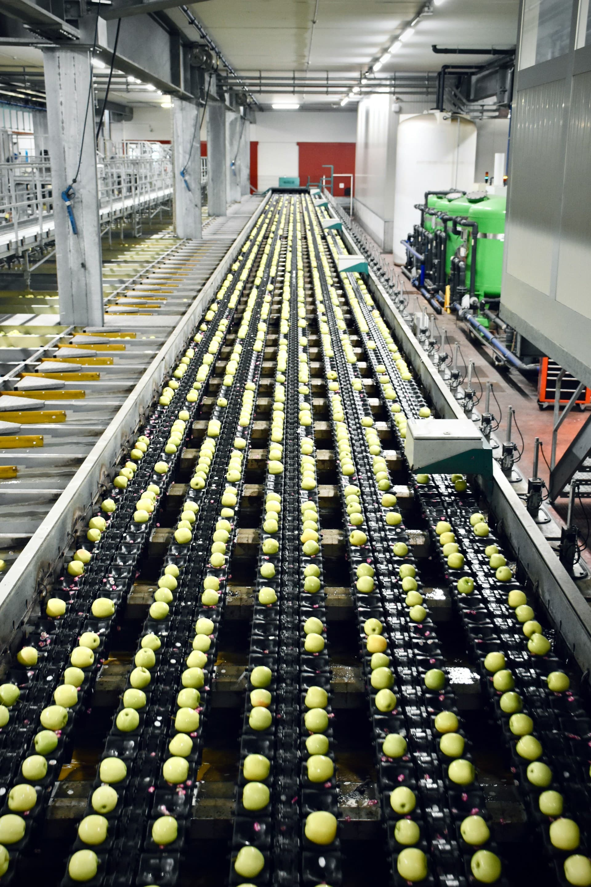 Onsite Power for Food Processing and Cold Storage