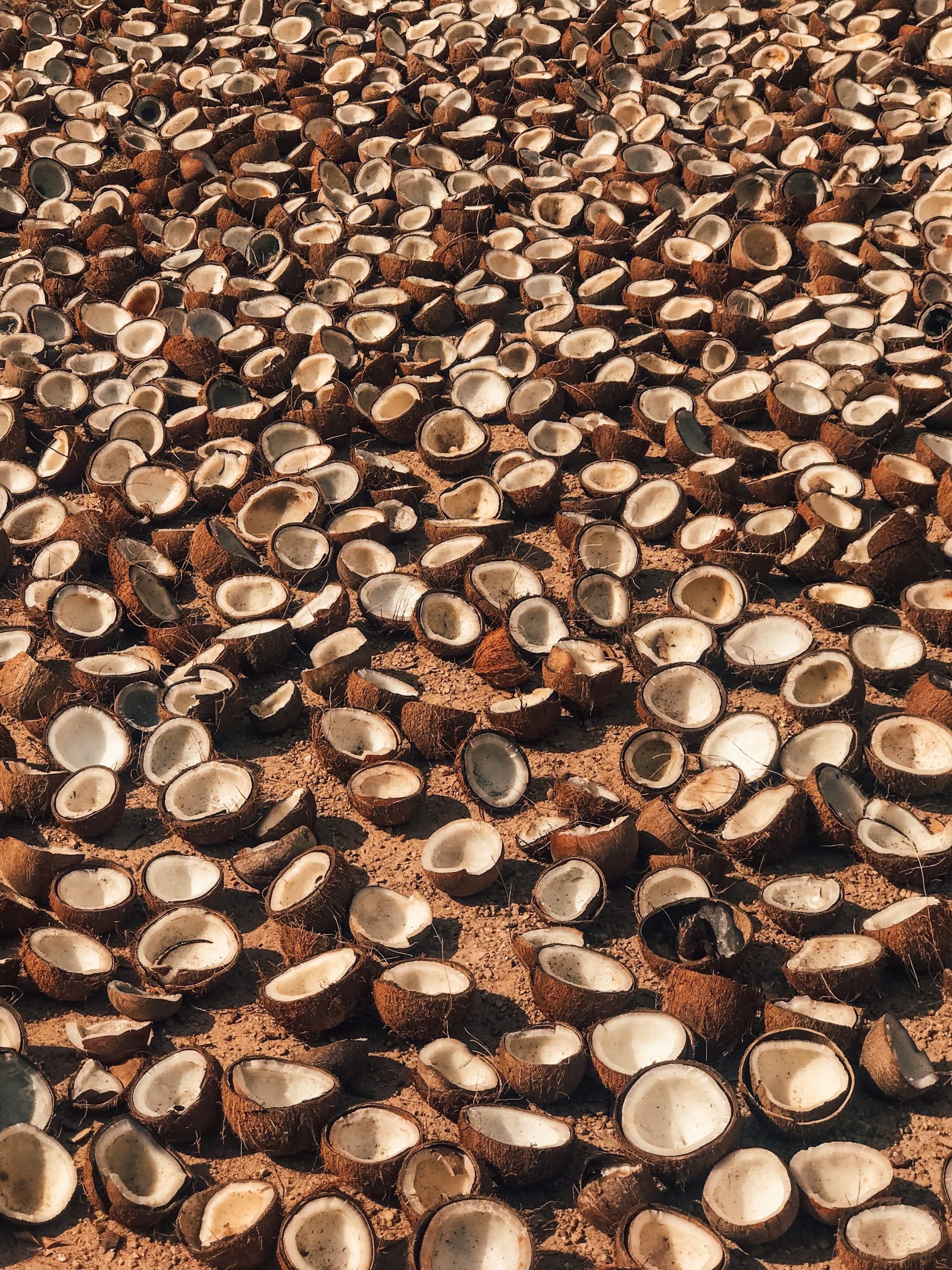 Coconut shell residue
