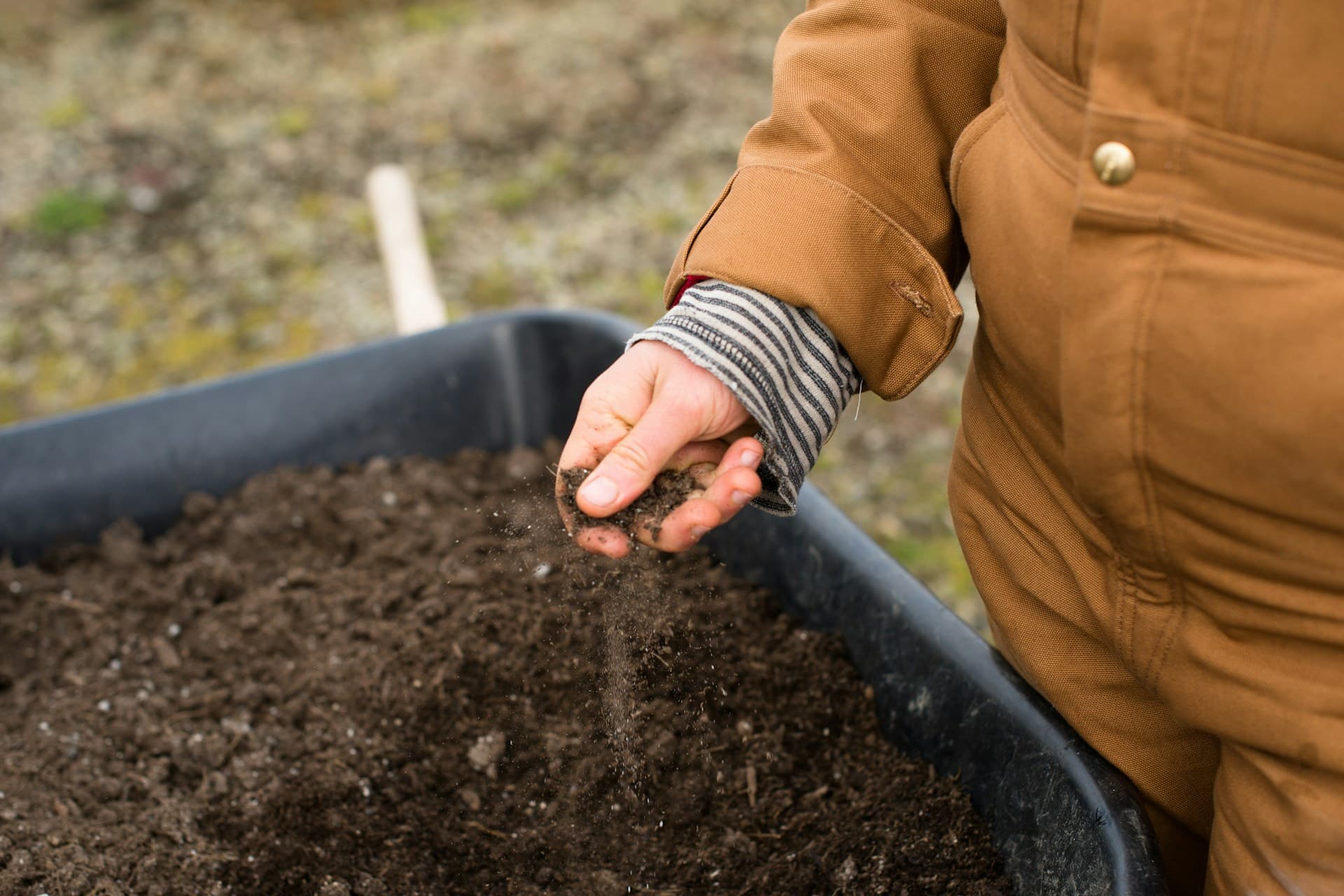 Biochar applied to soil