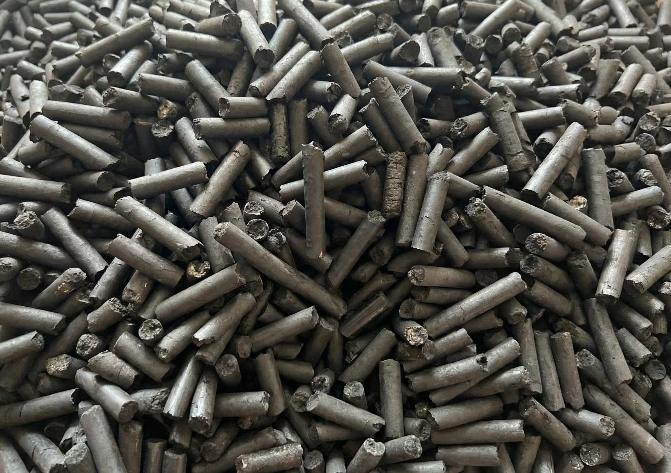 Biochar produced by a CNP plant